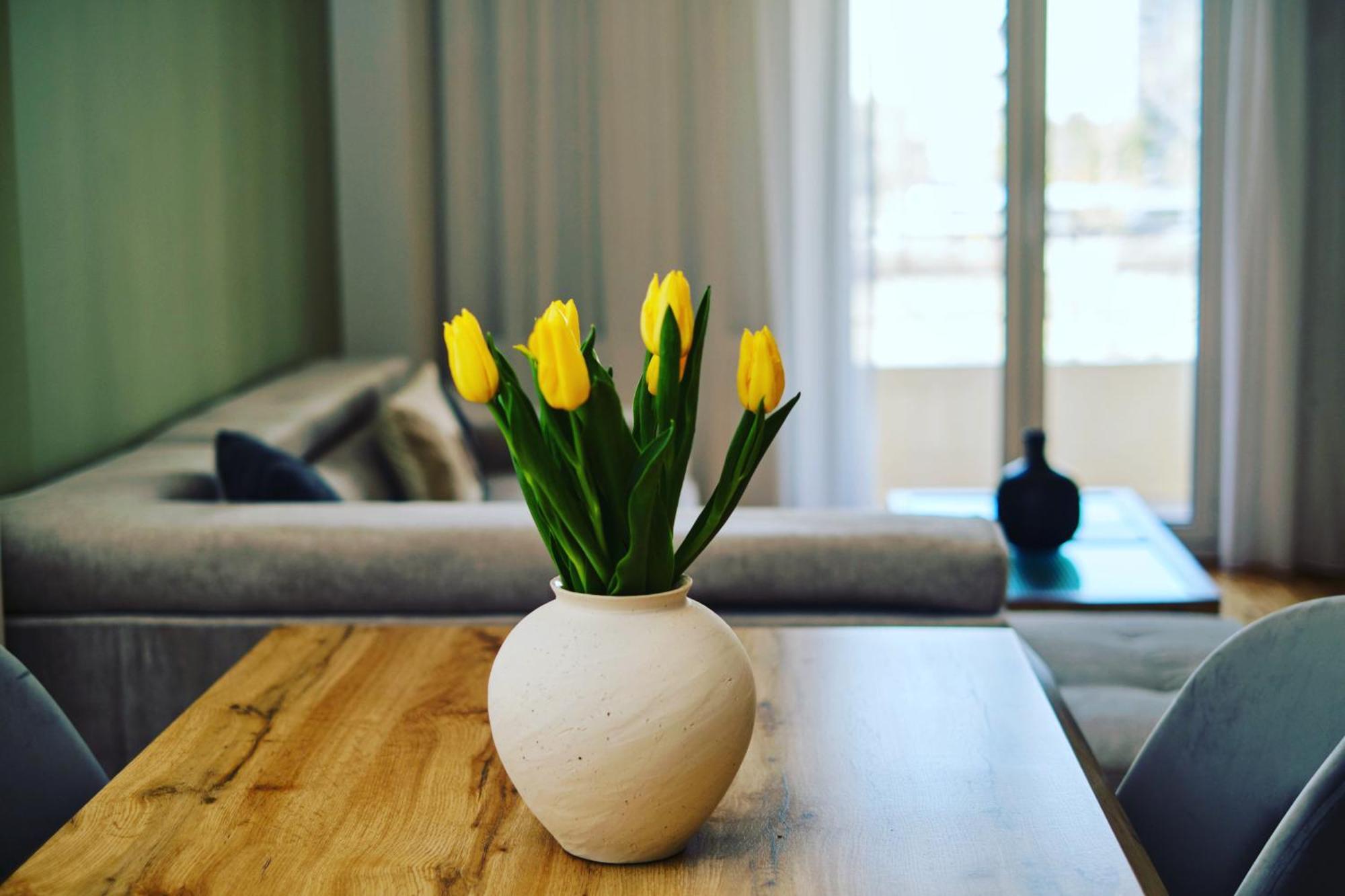 “The Elysian” City Center Apartment Thessaloníki Eksteriør billede